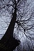 DSC01568.JPG
