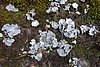 DSC01569.JPG
