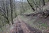 DSC01570.JPG