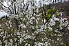 DSC01573.JPG