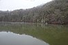 DSC01593.JPG