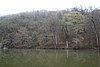 DSC01594.JPG