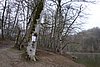 DSC01596.JPG