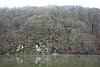 DSC01597.JPG