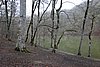 DSC01599.JPG