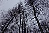 DSC01600.JPG
