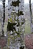 DSC01601.JPG