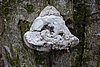 DSC01603.JPG