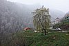 DSC01609.JPG