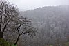 DSC01610.JPG