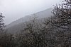 DSC01612.JPG