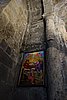 DSC01619.JPG