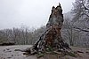 DSC01635.JPG