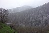 DSC01638.JPG