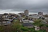 DSC01652.JPG
