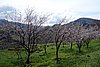 DSC01661.JPG