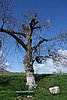 DSC01662.JPG