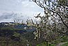 DSC01679.JPG