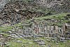 DSC01691.JPG