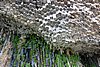 DSC01712.JPG