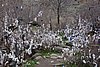 DSC01724.JPG