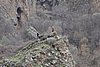 DSC01743.JPG