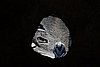 DSC01747.JPG