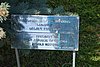 DSC01756.JPG