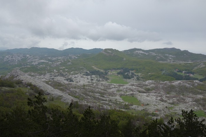 DSC01784.JPG