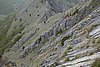 DSC01800.JPG