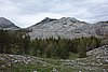 DSC01809.JPG
