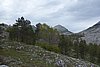 DSC01811.JPG