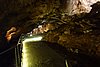 DSC01817.JPG