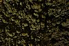 DSC01819.JPG