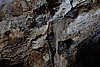 DSC01820.JPG