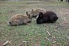 DSC01855.JPG