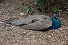 DSC01858.JPG