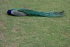 DSC01859.JPG