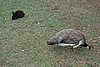 DSC01860.JPG