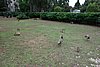 DSC01861.JPG