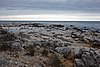DSC01863.JPG