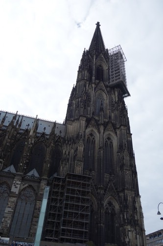 DSC01920.JPG