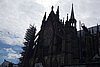 DSC01921.JPG