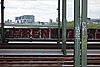 DSC01948.JPG