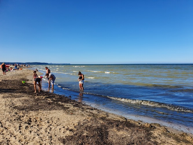20190725_162503.jpg