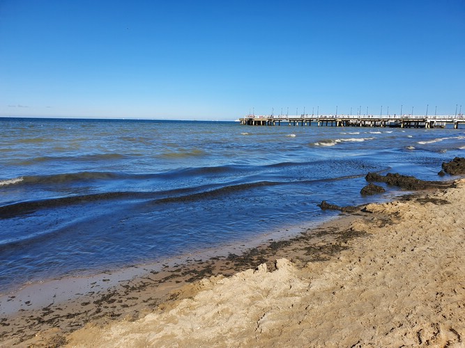 20190725_162508.jpg