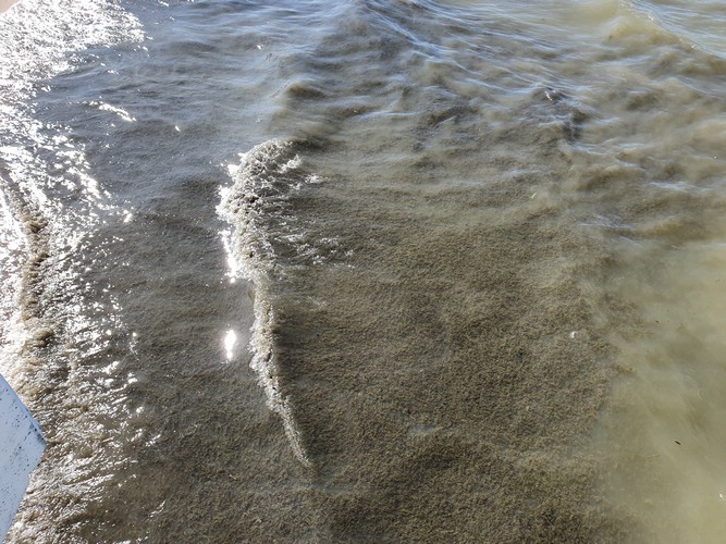 20190725_163624.jpg