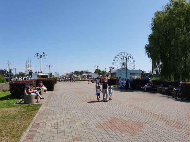 20190726_124903.jpg