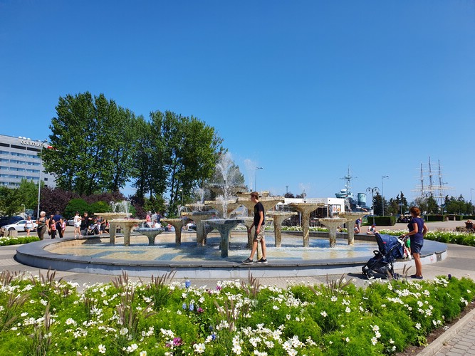 20190726_125029.jpg