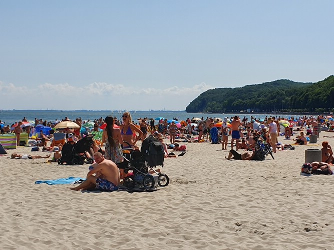 20190726_125750.jpg